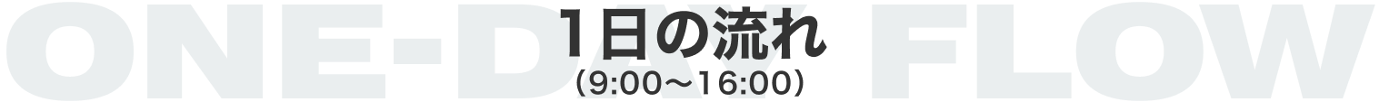 プログラム予定